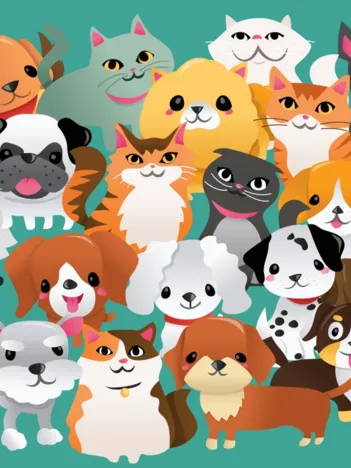 Produit Miaou, Ouaf Image