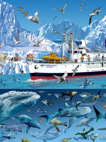 Produit François Ruyer - Arctic - Bluebird Boat Image