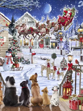 Produit Pets on Porch Image