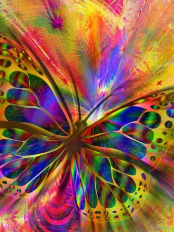 Produit Colorful Butterfly Image