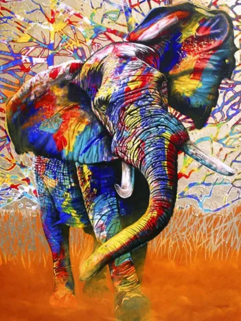 Produit African Colours Image