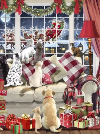 Produit En Attendant le Père Noël Image