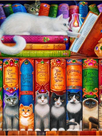 Produit Cat Bookshelf Image