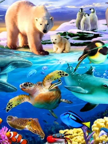 Produit Oceans of Life Image