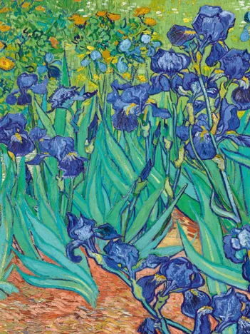 Produit Vincent Van Gogh - Les Iris, 1889 Image