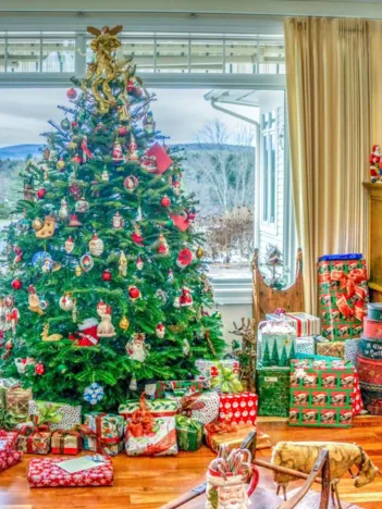 Produit Christmas at Home - Interior Image