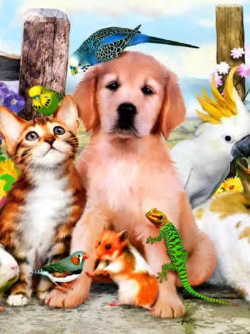 Produit Good Companions Image