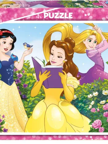 Produit Disney Princess Image