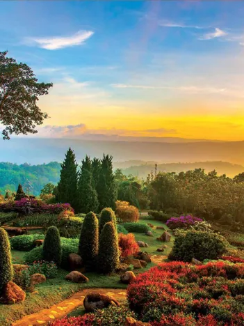 Produit Joli Jardin Image