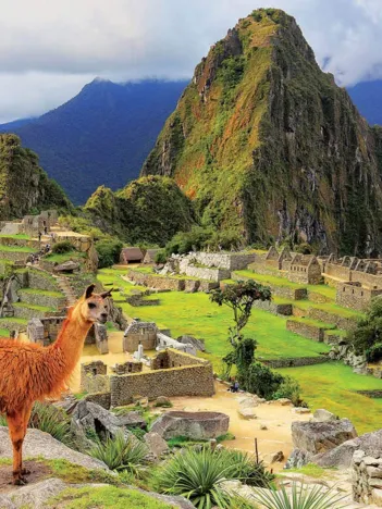 Produit Machu Picchu Perou Image