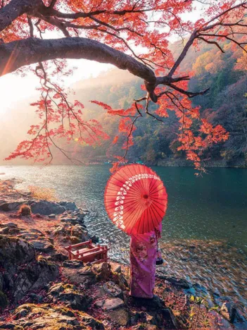 Produit Sunrise in Katsura River, Japan Image