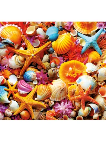 Produit Collage de Coquillages Image