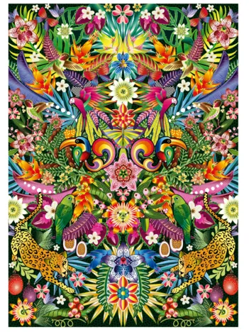 Produit Toucans Image