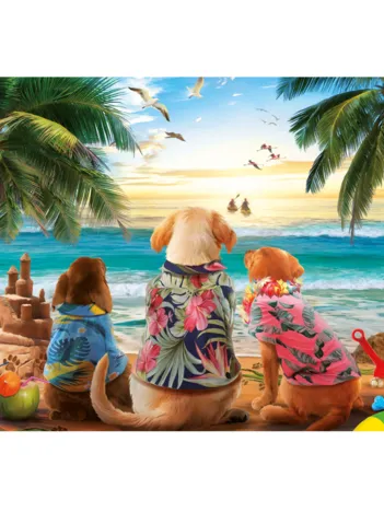 Produit Chiens sur la plage Image