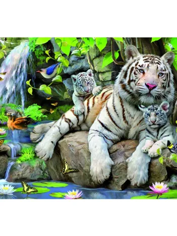 Produit Tigres blancs du Bengale Image