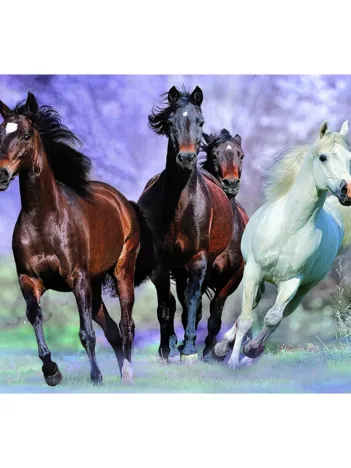 Produit Au galop ! Image