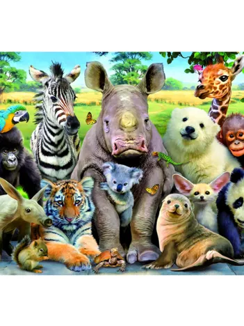 Produit Photo de classe Image