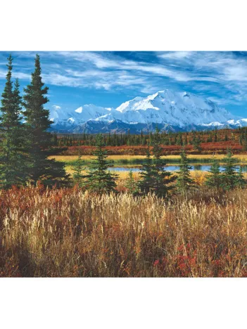 Produit Etats-Unis : Parc National De Denali Image