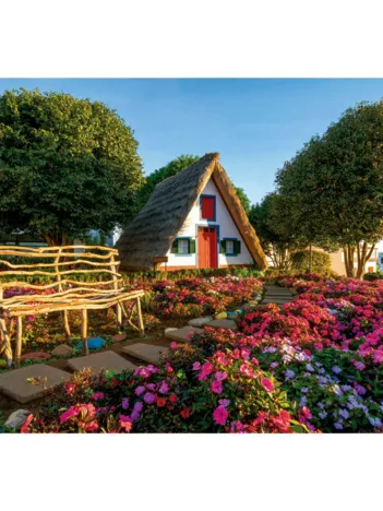 Produit Santana. Madère Image