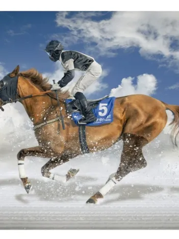 Produit Finale De White Turf - Saint Moritz Image