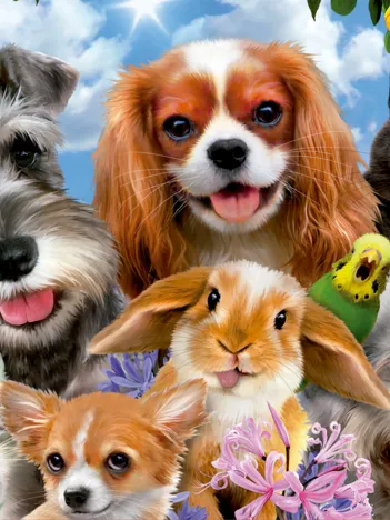 Produit Selfie d´Animaux Image