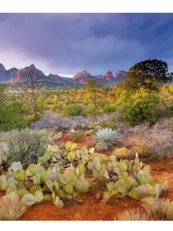 Produit Coucher de Soleil à Red Rock, Arizona, Etats-unis Image