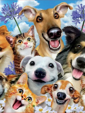 Produit Selfies Image