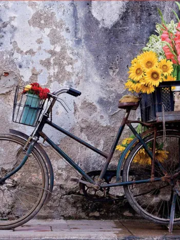 Produit Bicycle with flowers Image