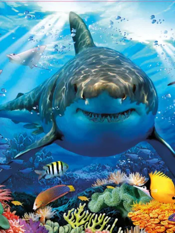 Produit Great White Shark Image