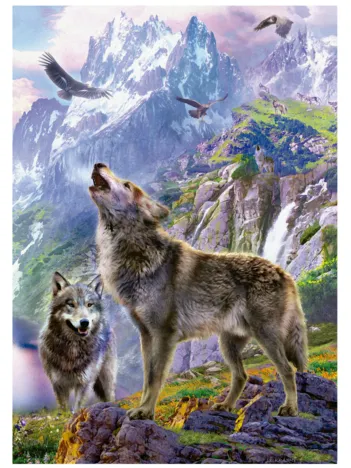 Produit Loups sûr Les Rochers Image