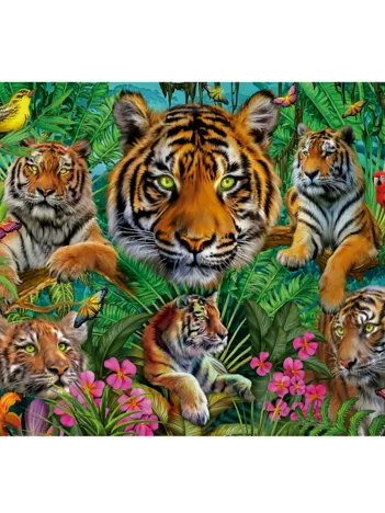 Produit Jungle Des Tigres Image