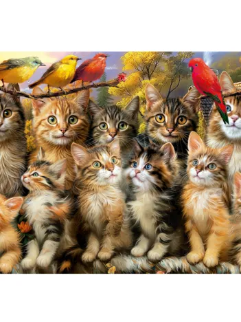 Produit Chatons et Oiseaux Image