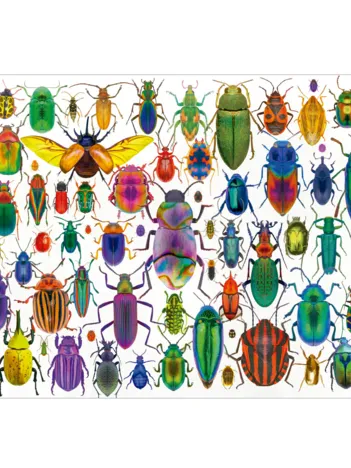 Produit Scarabées Image