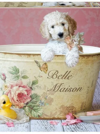 Produit Belle Maison Image