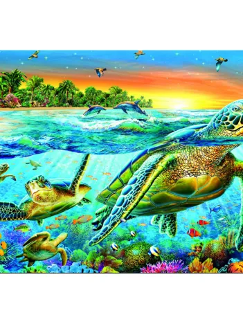 Produit Tortues marines Image