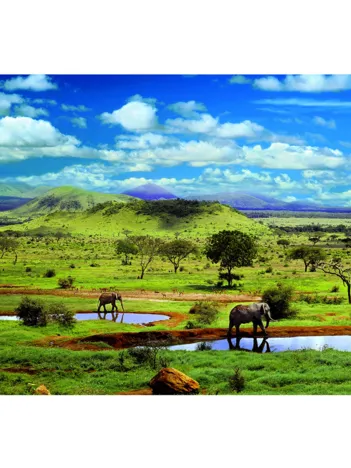 Produit Parc national de Tsavo, Kenya Image