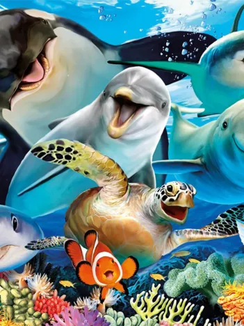 Produit Selfie sous la Mer Image