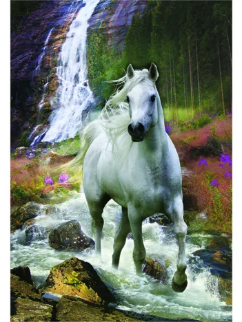 Produit Liberté Image