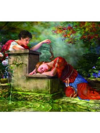 Produit Pendant qu'elle dormait Image