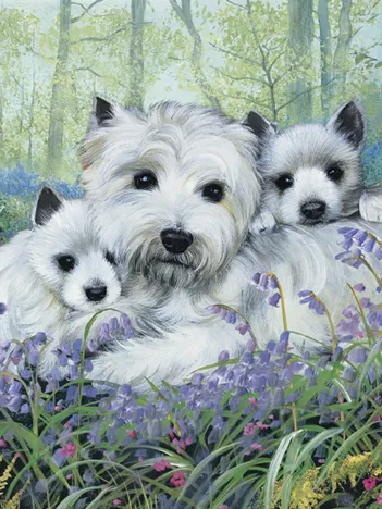 Produit Westies In The Wood Image