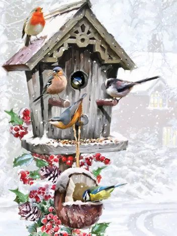 Produit A Festive Feast Image