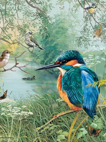 Produit Nature Reserve Image