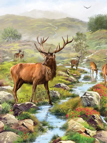 Produit National Park Image