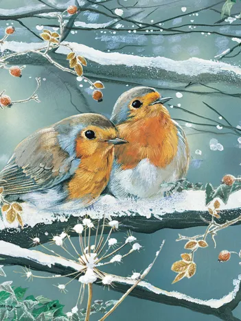 Produit Frosty Friends Image