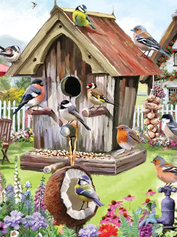 Produit Feathered Friends Image