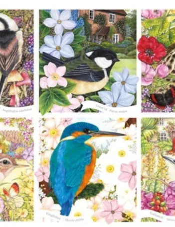 Produit RSPB - Garden Birds Image