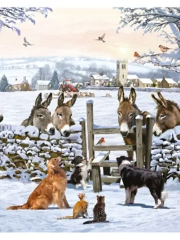 Produit Donkey Encounter Image