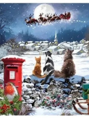 Produit Christmas Delivery Image