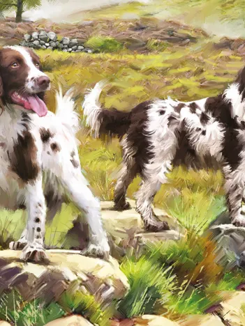 Produit Spaniel on Moor Image