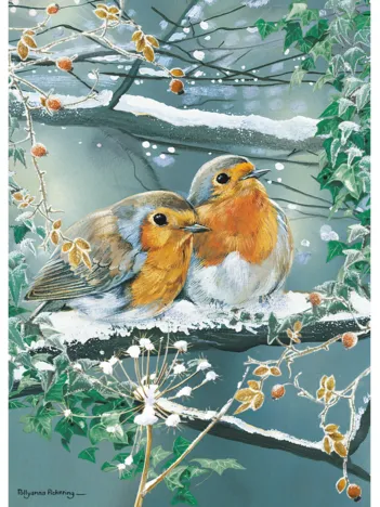 Produit Frosty Friends Image